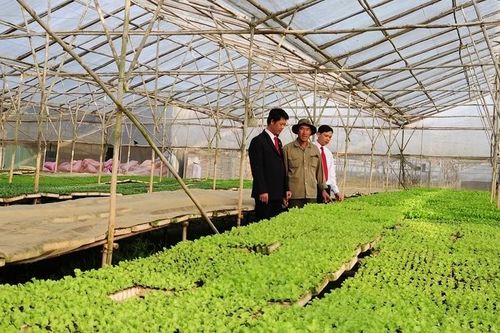 Agribank – Chủ lực cung ứng vốn cho tam nông, tạo động lực tăng trưởng kinh tế