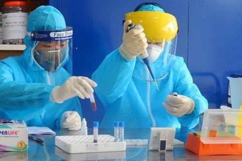 WWF: 94% người dân Việt Nam ủng hộ đóng cửa các điểm kinh doanh động vật hoang dã