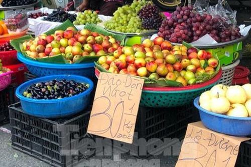 Đào 'đội lốt' Sapa chỉ 20.000 đồng/kg