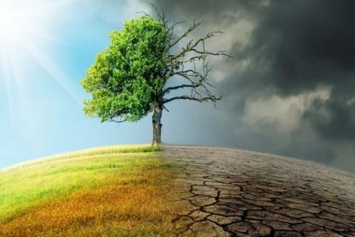 Biến đổi khí hậu vẫn sẽ gây nhiều tranh cãi?