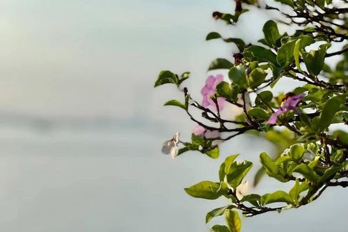 Tôi áp lực vì mẹ liên tục hối thúc gửi tiền về báo hiếu