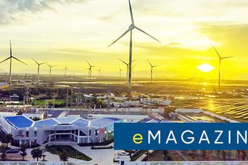 Trung Nam Group người 'mở đường' nhiều dự án năng lượng tái tạo Việt Nam