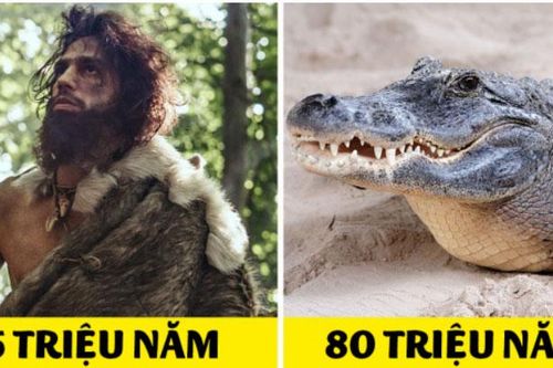20 loài động vật đã tồn tại trên Trái Đất lâu hơn con người