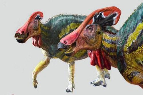 Phát hiện loài khủng long... biết nói sống ở Mexico 72 triệu năm trước