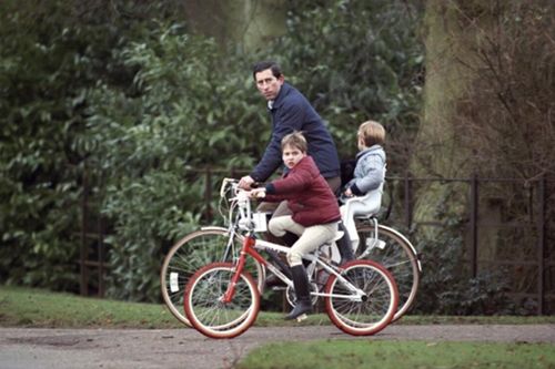 Harry bẽ bàng vì bị 'lật tẩy' sau loạt phát ngôn công kích Thái tử Charles