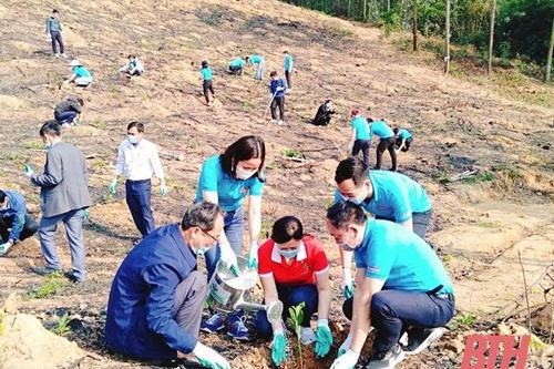 Giai đoạn 2021-2025, Thanh Hóa phấn đấu trồng ít nhất 34,5 triệu cây xanh