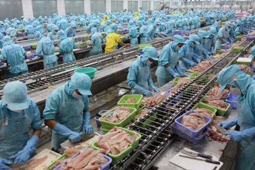 Giảm khủng hoảng việc làm?