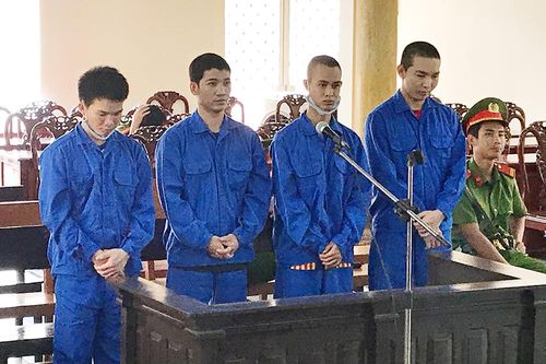 Rủ nhau mua bán ma túy, cả nhóm bạn cùng lãnh án