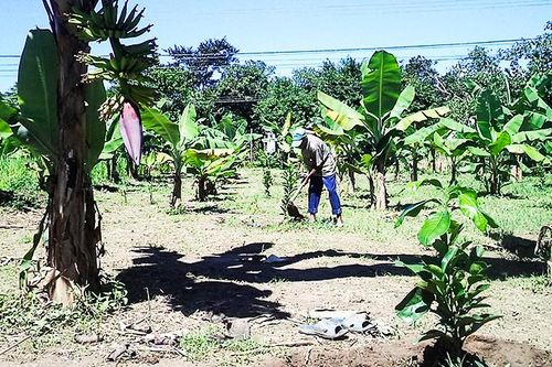 Giai đoạn 2021 - 2025: Khánh Sơn sẽ chuyển đổi 840ha cây trồng