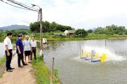 Hiệu quả nuôi thủy sản thâm canh, áp dụng tiến bộ khoa học kỹ thuật