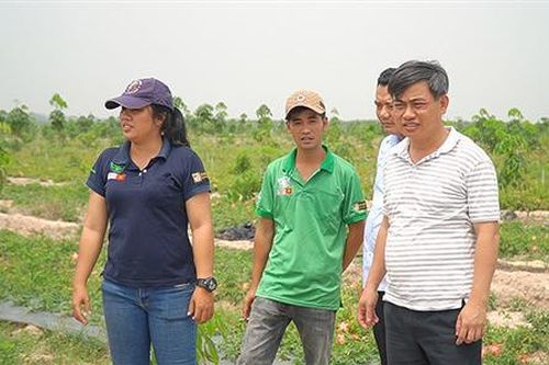 Người làm 'cầu nối' đưa dược liệu Cam Lộ ra thế giới