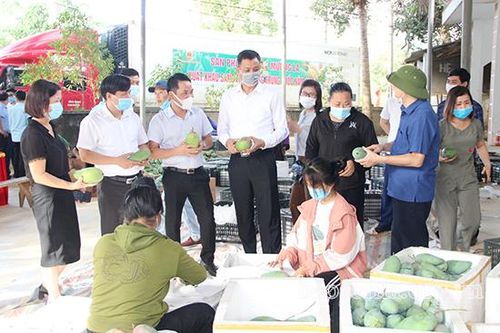 Mường La: Xuất khẩu lô xoài đầu tiên năm 2021 sang thị trường Trung Quốc
