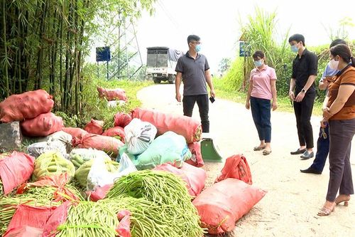 Hội Nông dân tỉnh hỗ trợ tiêu thụ 3,5 tấn nông sản cho nông dân Yên Nguyên