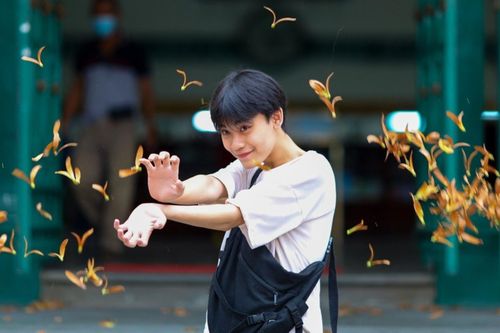 Mùa hoa chò rơi ở TP.HCM