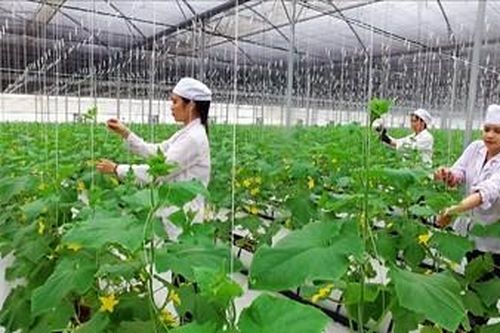 Phát huy hiệu quả trong thực tế