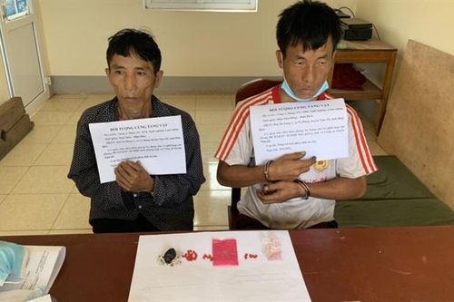 Bắt 2 đối tượng mua bán, tàng trữ trái phép chất ma túy