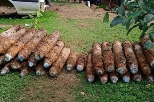 Phát hiện hơn 100 quả bom sót lại từ Thế chiến thứ hai trong vườn nhà