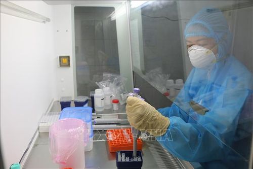 Nếu làm tốt cần nhân rộng để người dân tự lấy mẫu test nhanh SARS-CoV-2