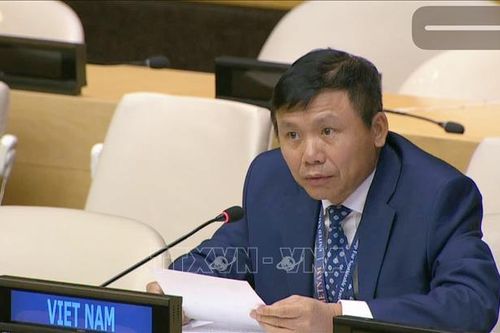 Việt Nam lên án bạo lực, khủng bố nhằm vào dân thường tại Somalia