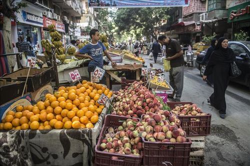 IMF đạt thỏa thuận giải ngân đợt cuối khoản cứu trợ cho Ai Cập