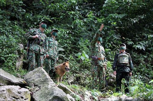 Tăng cường tuần tra, phát hiện, xử lý người xuất nhập cảnh trái phép