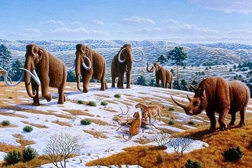 Chúng ta có thể hồi sinh những loài động vật đã tuyệt chủng hay không?