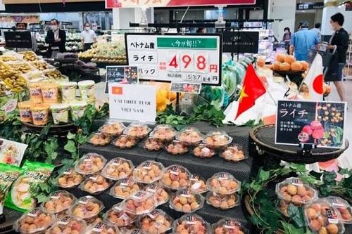 Triển vọng xuất khẩu khoảng 1.000 tấn vải thiều tươi sang Nhật Bản