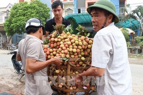 Hỗ trợ tiêu thụ sản phẩm nông sản của địa phương có sản lượng lớn