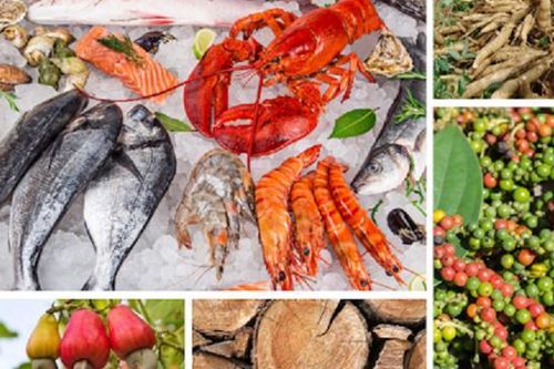 Kim ngạch xuất khẩu nông lâm thủy sản vào khối EAEU không đáng kể