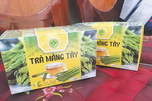 Hướng đến sản phẩm OCOP cho trà măng tây