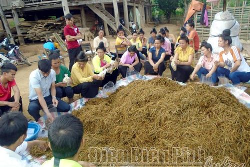 Điện Biên Đông giải quyết việc làm cho người lao động