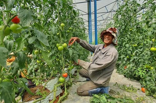 Chuyển biến tích cực trong học tập và làm theo Bác ở Đam Rông