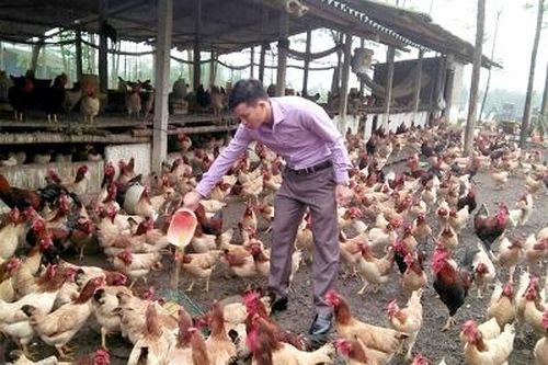 Trên 125 tỷ đồng hỗ trợ nông dân vay phát triển kinh tế