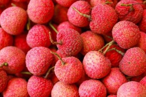 Bắc Giang bắt đầu xuất khẩu vải sang Nhật