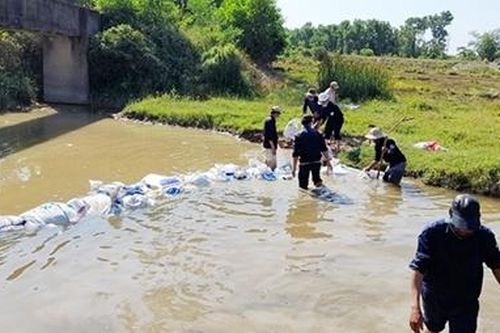 Hàng ngàn hécta đất trồng lúa 'khát nước', nông dân gặp khó