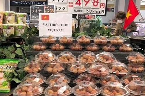 Vải thiều Việt Nam được yêu thích tại thị trường Nhật Bản