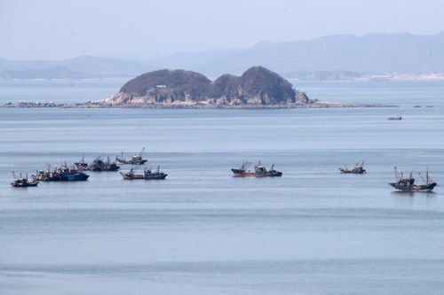 Hàn Quốc tố tàu Trung Quốc đánh bắt cạn kiệt nguồn cá
