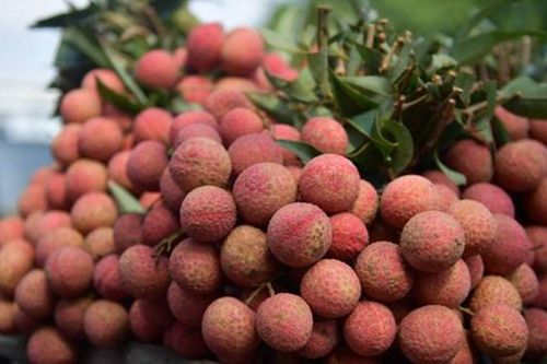 Hành lang xanh cho nông sản