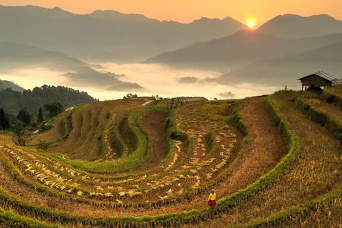 Chàng trai 10 lần đến Hoàng Su Phì viết 'Chuyện tình của núi'