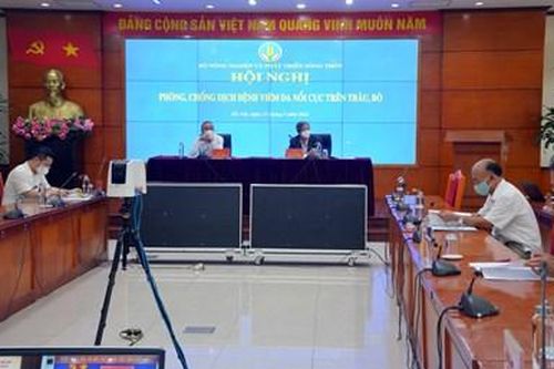 Khẩn trương phòng, chống dịch bệnh viêm da nổi cục trên trâu, bò