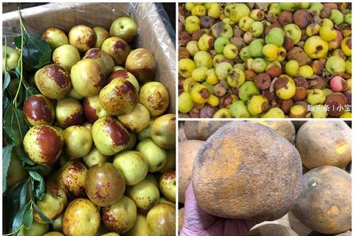Bất ngờ 3 loại quả nhìn như dập thối nhưng giá 'chát'