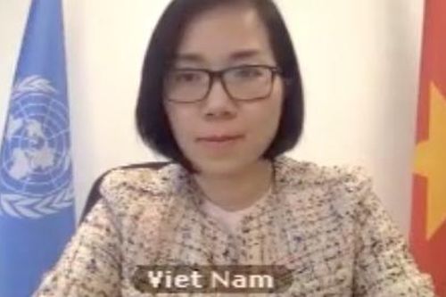 Hội đồng Bảo an Liên hợp quốc thảo luận về biến động chính trị tại Mali