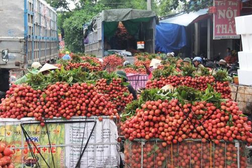 Hà Nội và TP.HCM cam kết 'giải cứu' nông sản của các địa phương bùng dịch