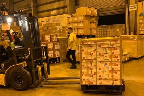 Vải thiều Bắc Giang đi 'siêu tàu bay' cập cảng hàng không Nhật Bản