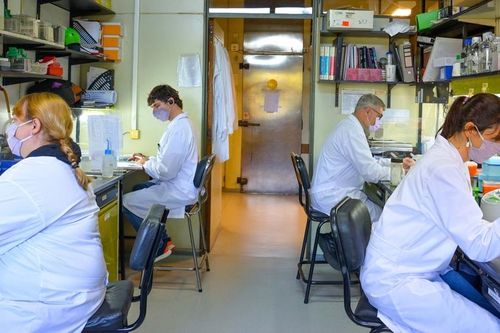 Các nhà khoa học Argentina nghiên cứu vaccine COVID-19 thế hệ 2