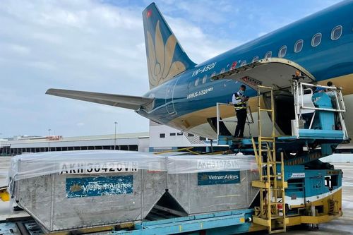 Vietnam Airlines miễn phí vận chuyển vaccine tiêm chủng COVID-19
