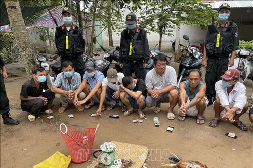 Tiền Giang: Triệt xóa hai tụ điểm đánh bạc