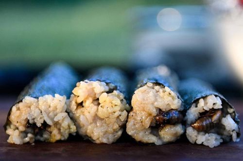 Độc lạ sushi ve sầu ở Mỹ