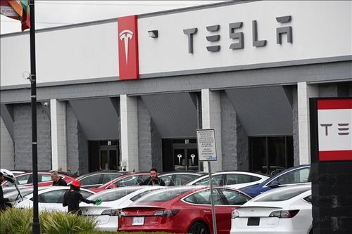 Nga sẵn sàng cho thương hiệu xe điện Mỹ Tesla mở nhà máy