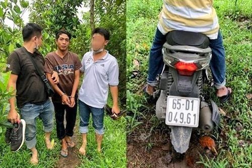 Tạm giữ thợ sơn đâm chủ nhà và người giúp việc trọng thương